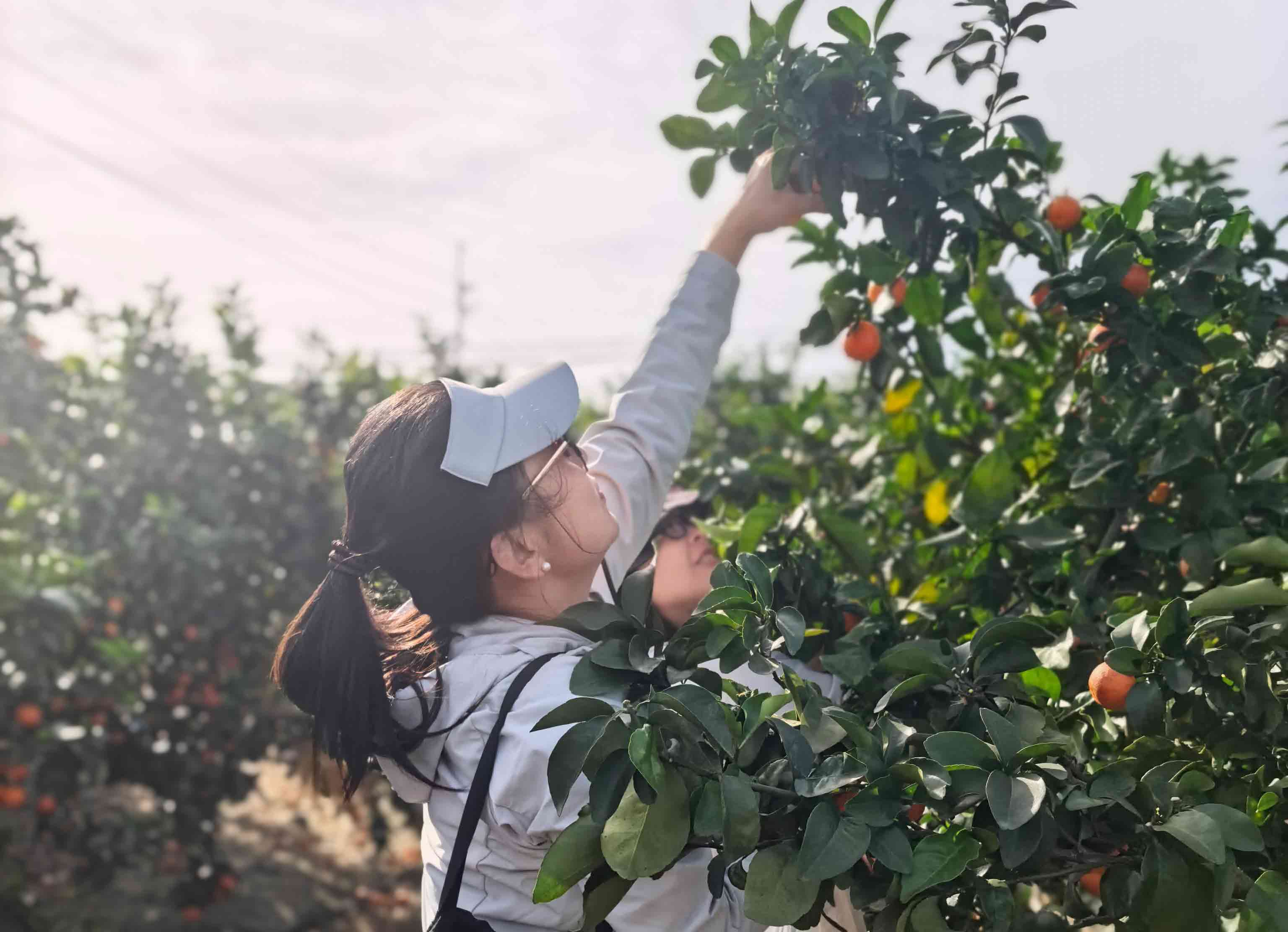 4882640da43b4f9a8353d2820297e9df.jpg 4882640da43b4f9a8353d2820297e9df.jpg